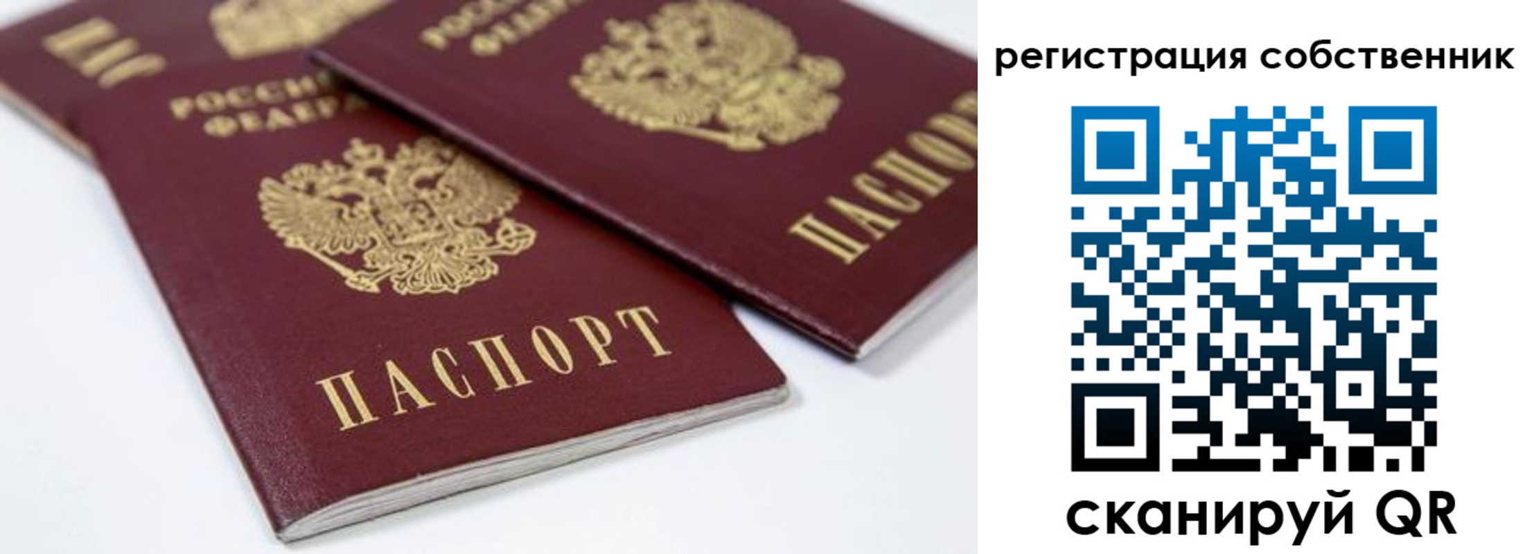 прописка для школы в Шуе